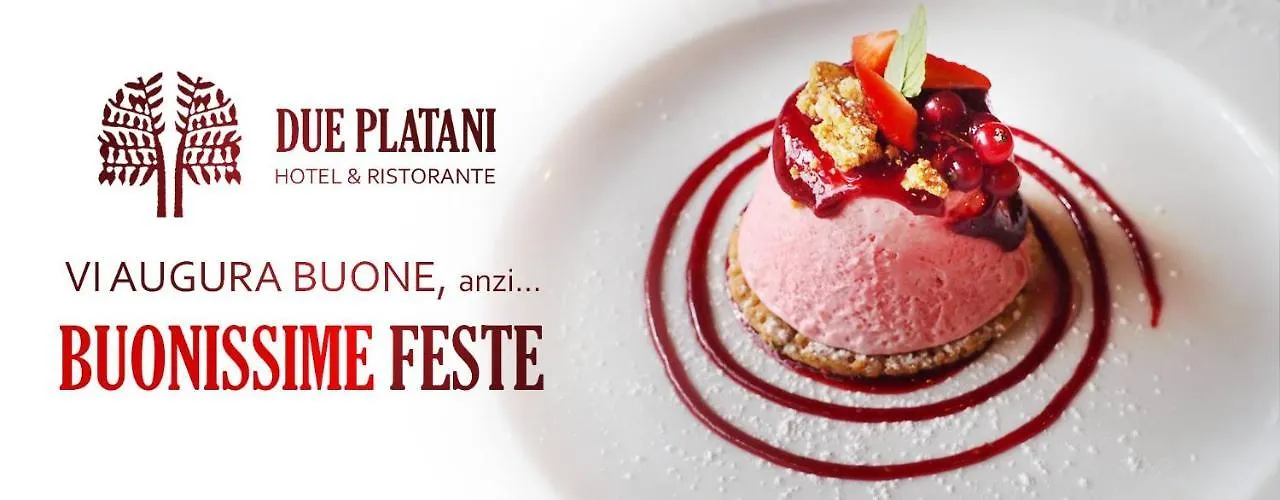Hotel Due Platani Cornedo Vicentino 3*,